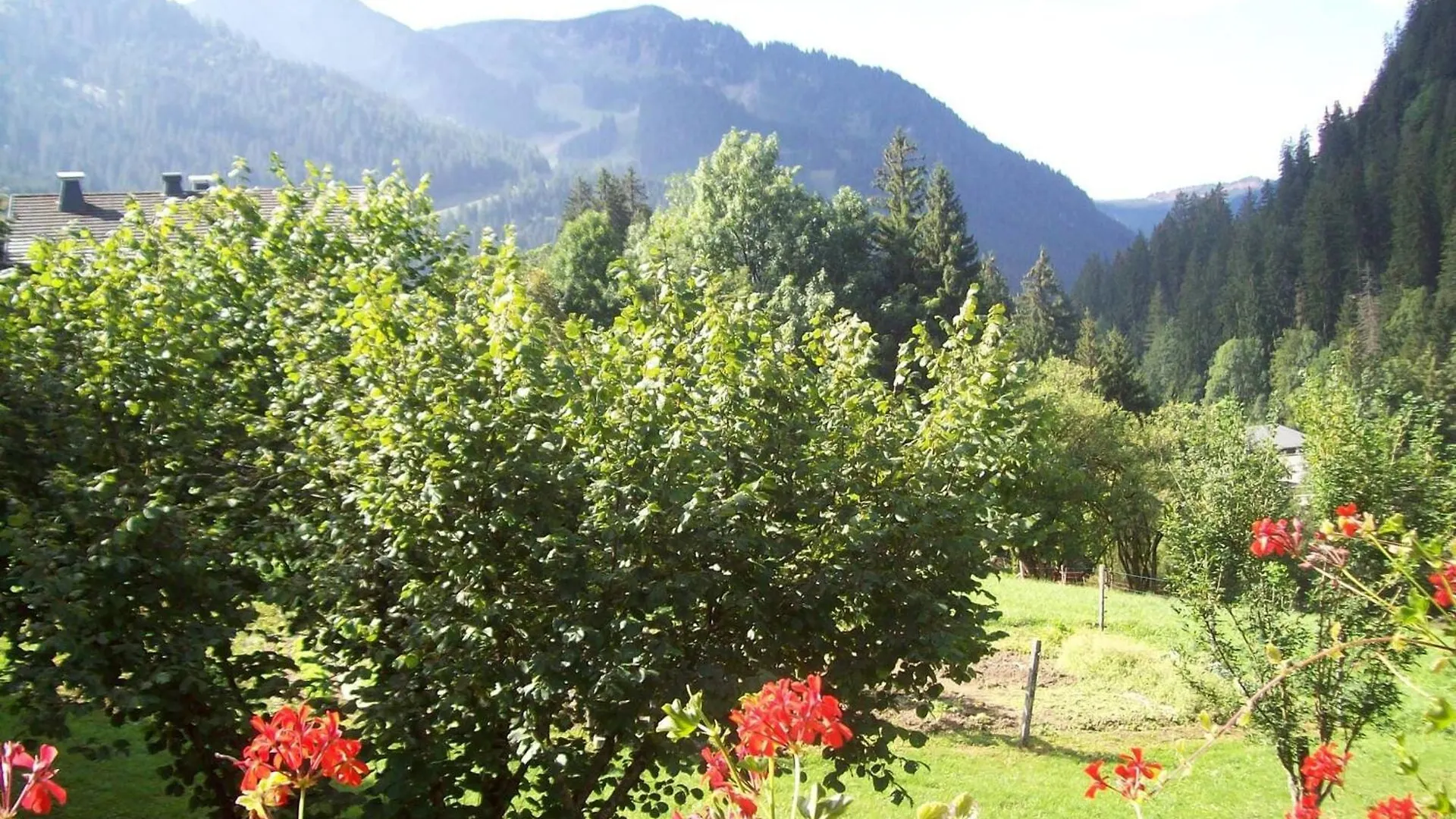 Apartment Appartement Cosy 3 Pieces, 4 Pers, Balcons, Proche Centre Et Telecabines A Chatel - Fr-1-676-65